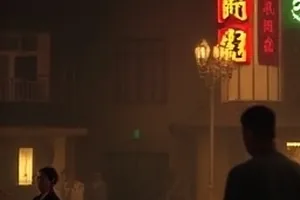 候鸟中转站：湿地芦苇旁停歇的候鸟群与观鸟塔